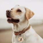 Unieke Ronde Houten Sleutelhanger – Persoonlijk & Duurzaam - Afbeelding 3