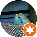 Theo Wildenborg profielfoto